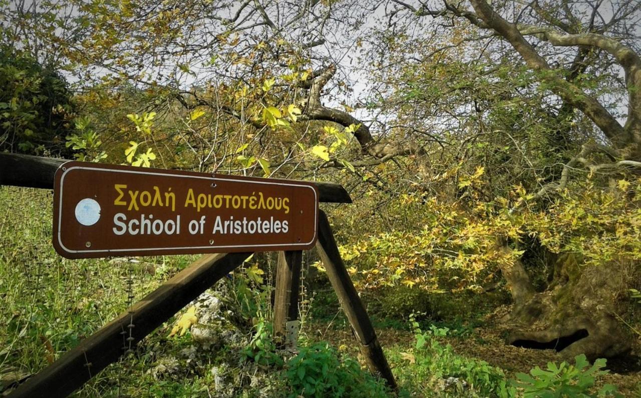 Mylos Arkochorion Zewnętrze zdjęcie